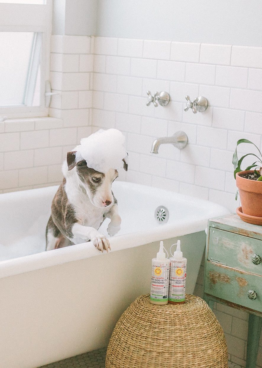 (No Fragrance) Super Sensitive™ Puppy + Dog + Kitty Wash & Conditioner Set